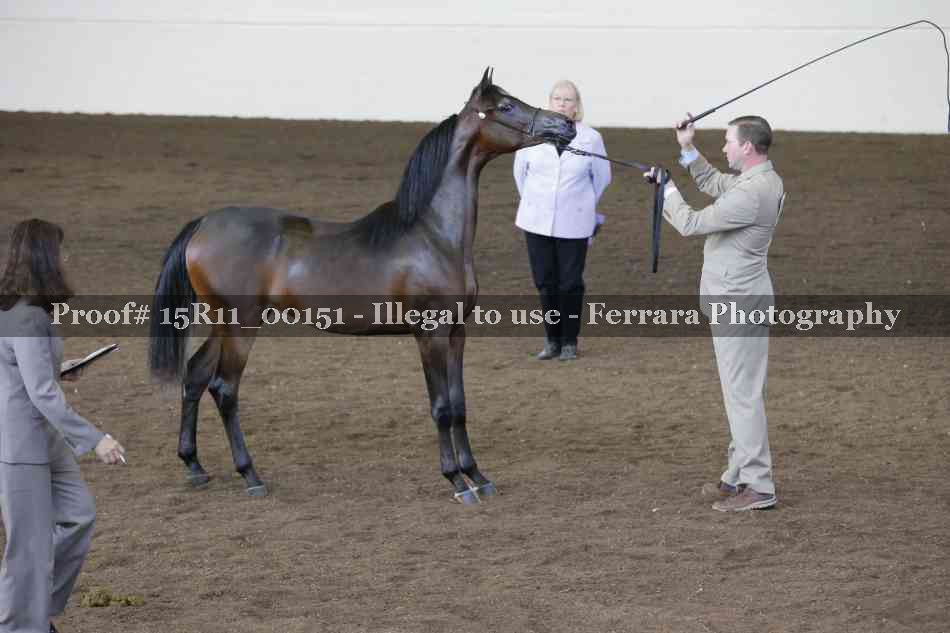 Proof 15R11_00151