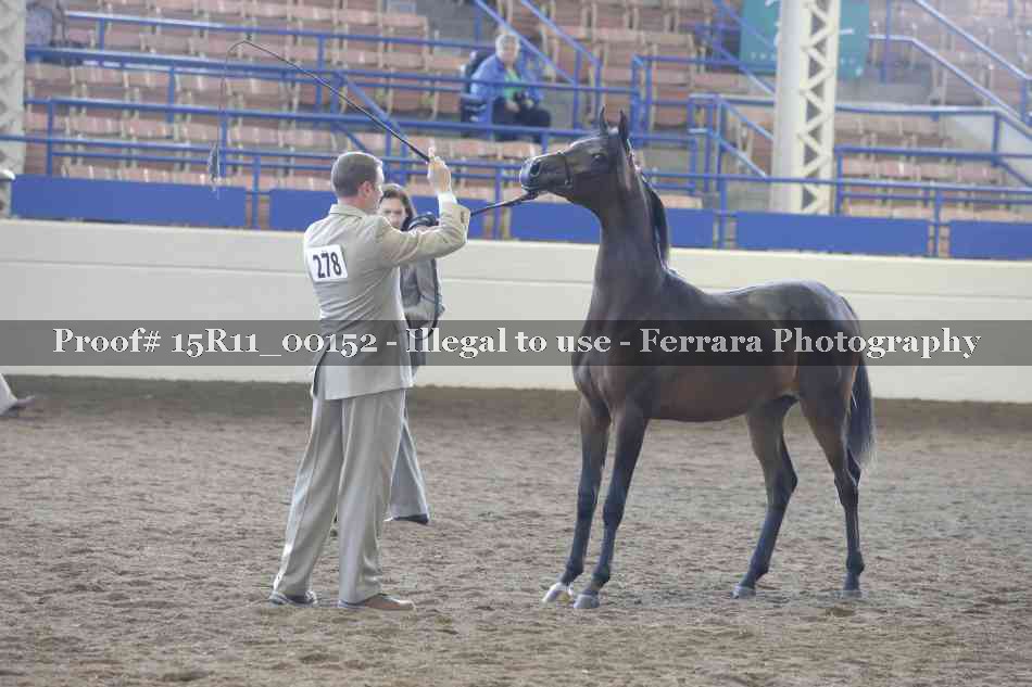 Proof 15R11_00152
