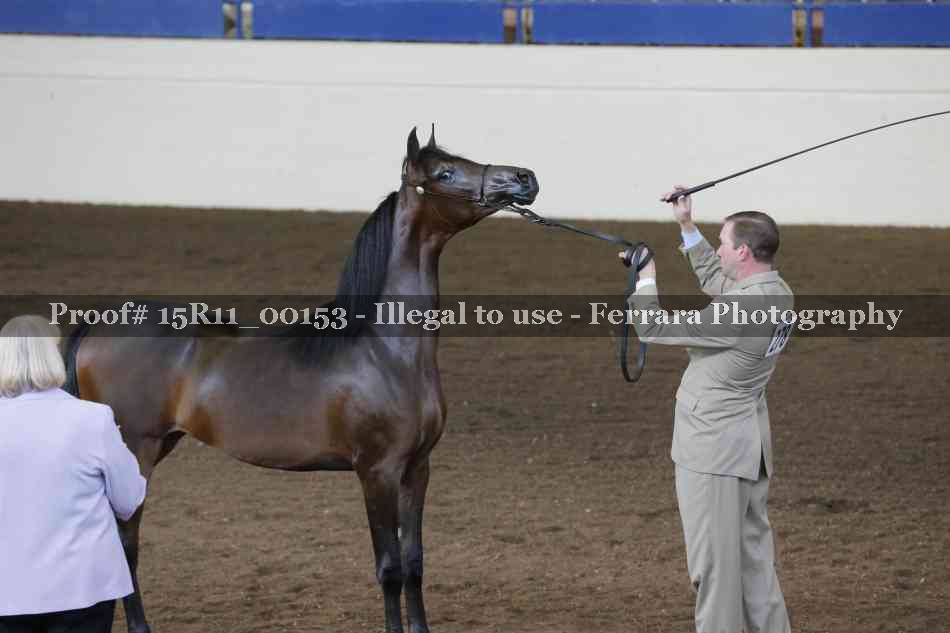 Proof 15R11_00153