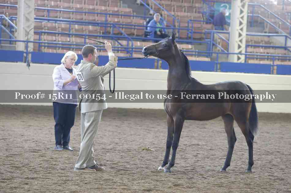 Proof 15R11_00154