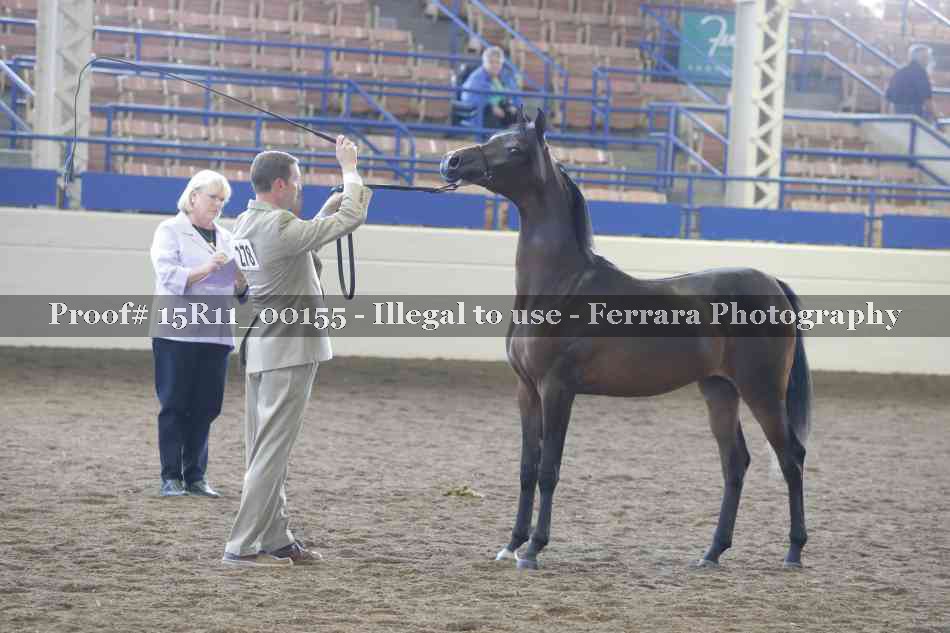 Proof 15R11_00155