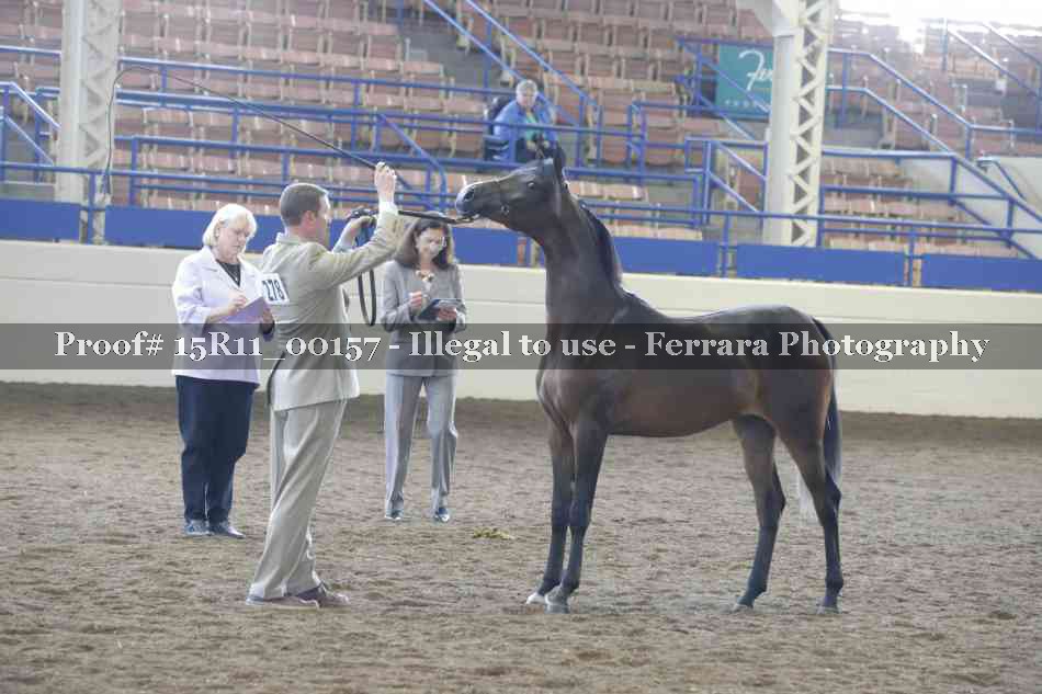 Proof 15R11_00157