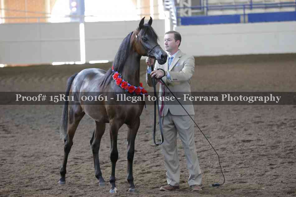 Proof 15R11_00161
