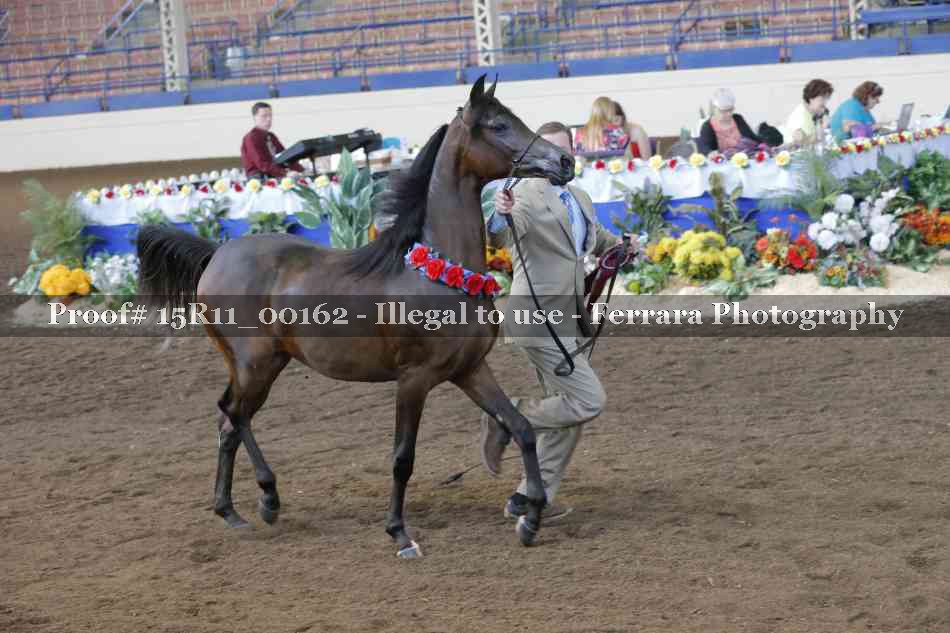 Proof 15R11_00162