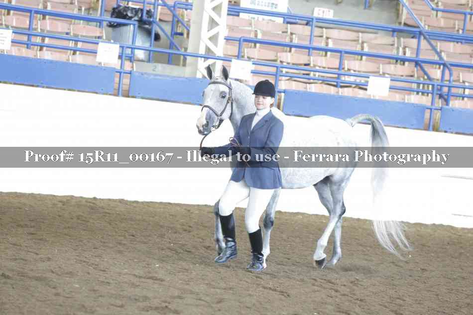 Proof 15R11_00167