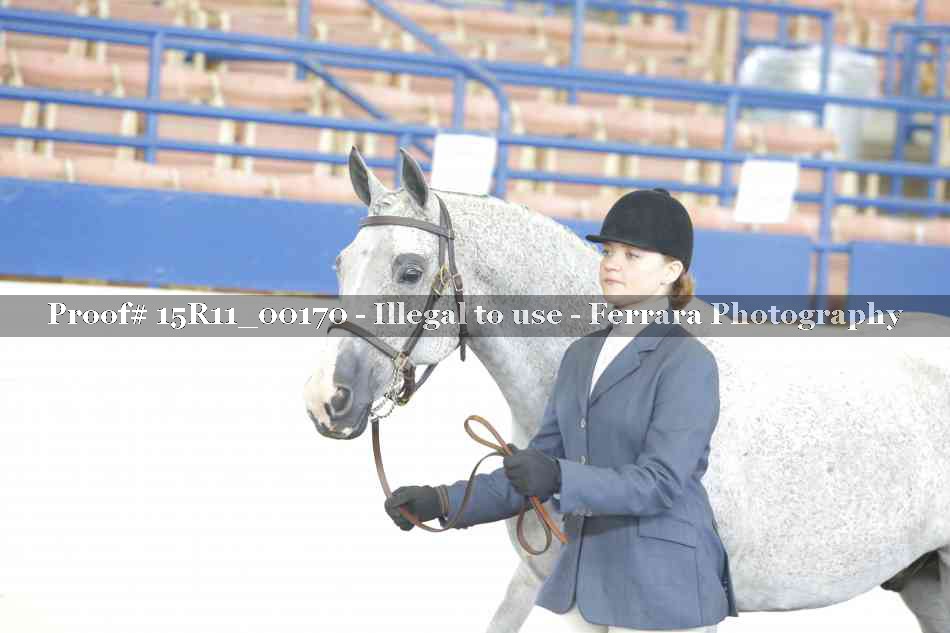 Proof 15R11_00170