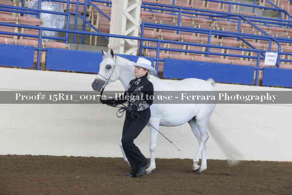 Proof 15R11_00172