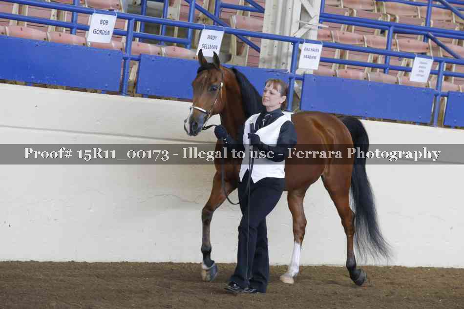 Proof 15R11_00173