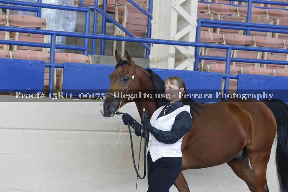 Proof 15R11_00175