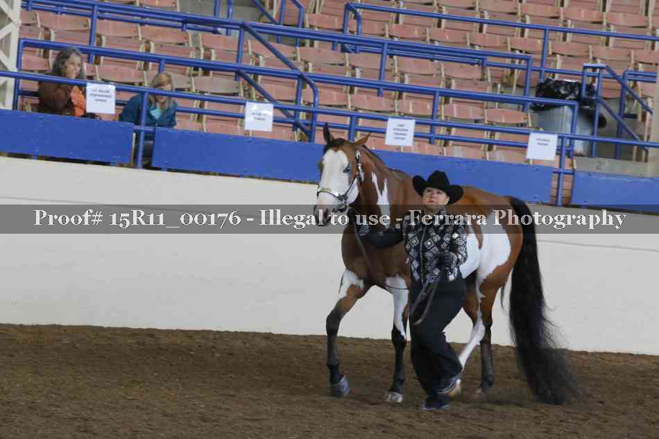 Proof 15R11_00176