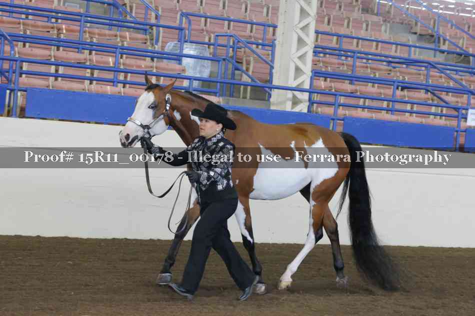 Proof 15R11_00178