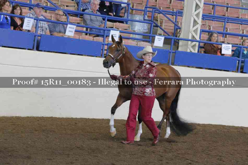 Proof 15R11_00183