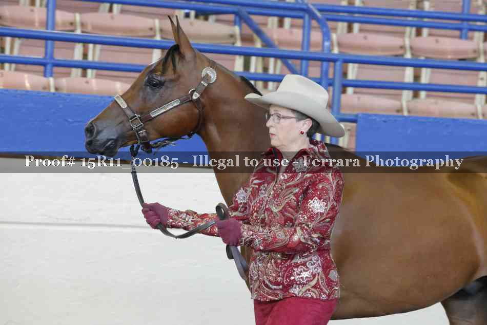 Proof 15R11_00185