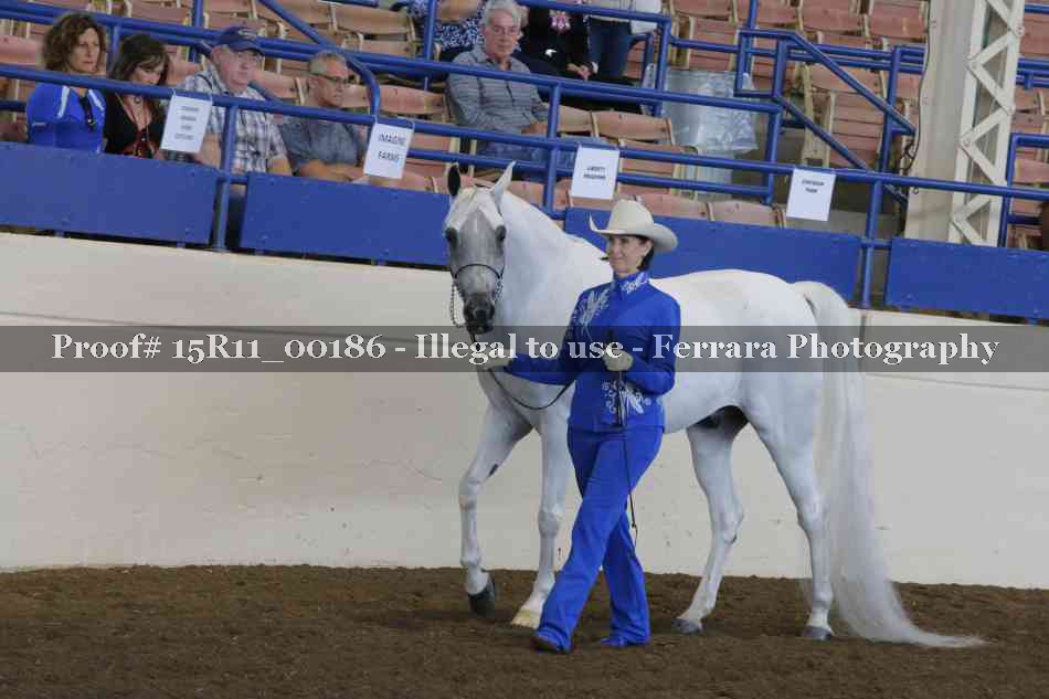 Proof 15R11_00186