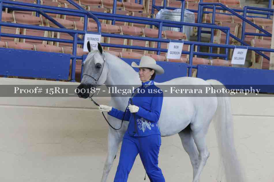 Proof 15R11_00187