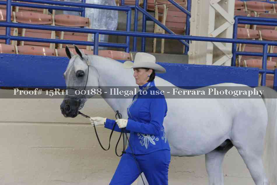 Proof 15R11_00188