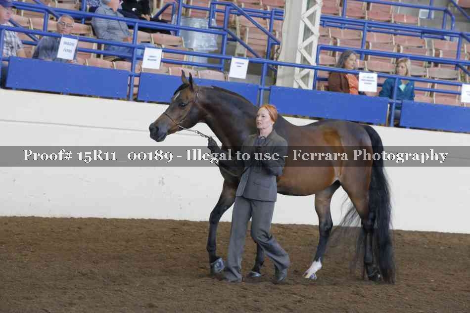 Proof 15R11_00189