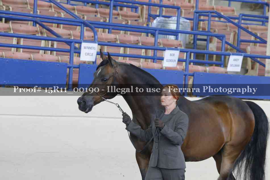 Proof 15R11_00190