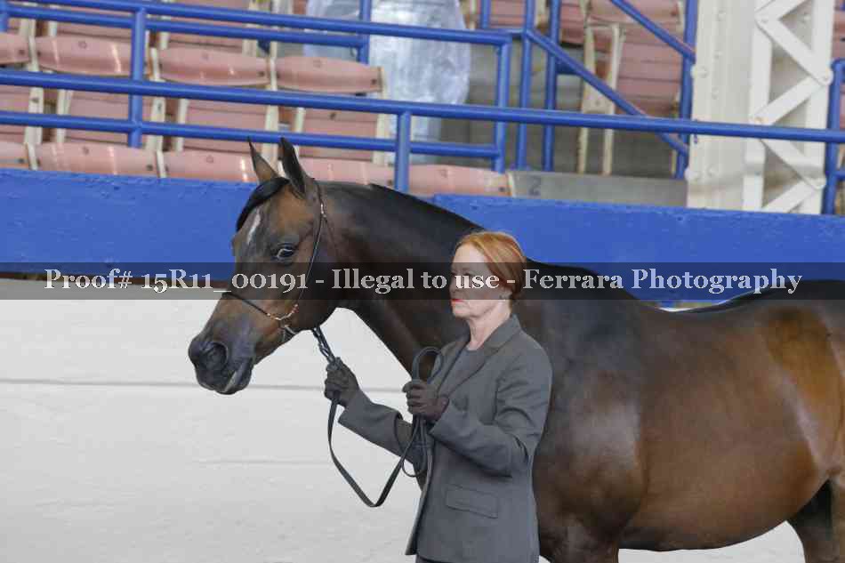 Proof 15R11_00191