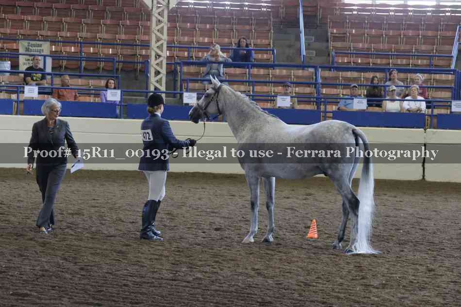 Proof 15R11_00193
