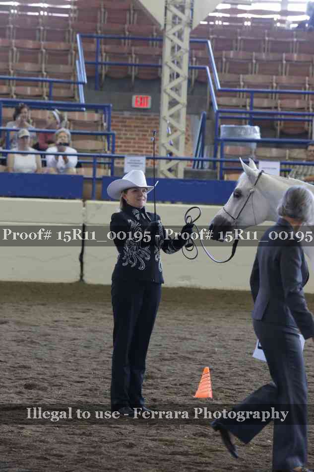 Proof 15R11_00195