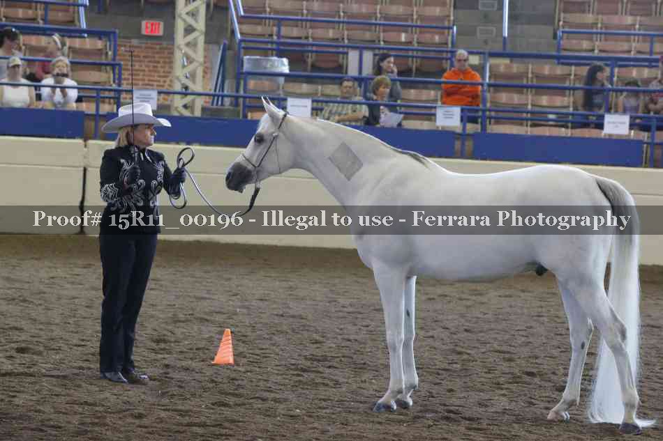 Proof 15R11_00196
