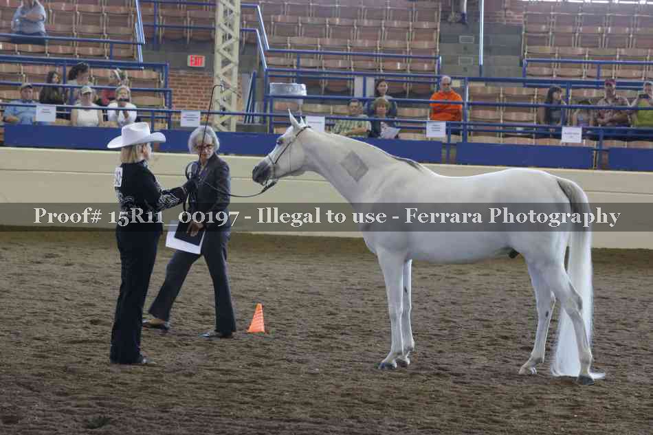 Proof 15R11_00197