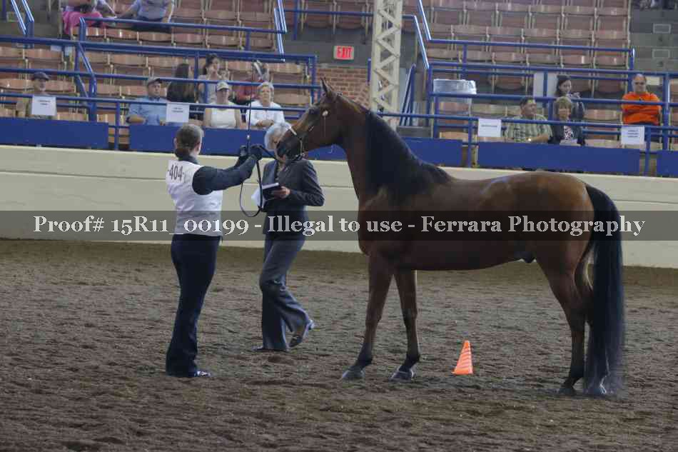 Proof 15R11_00199