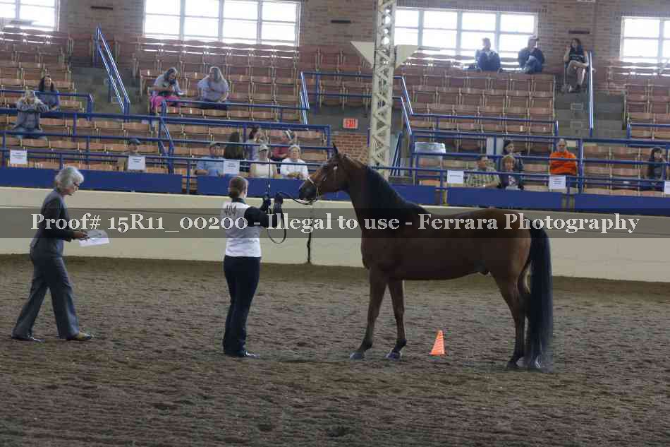 Proof 15R11_00200