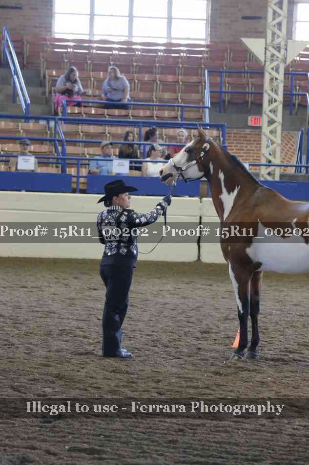 Proof 15R11_00202