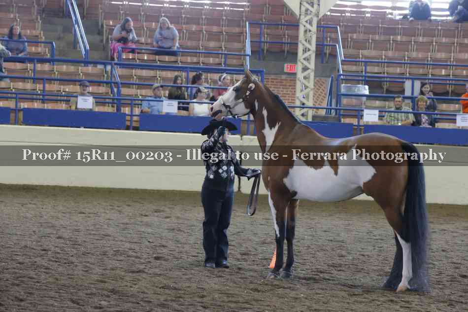 Proof 15R11_00203