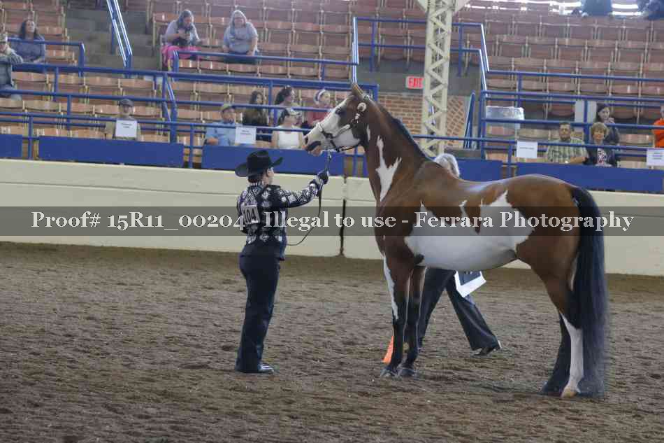 Proof 15R11_00204