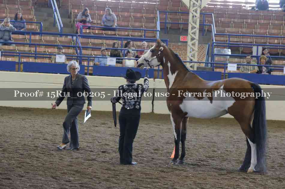 Proof 15R11_00205