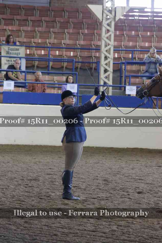 Proof 15R11_00206
