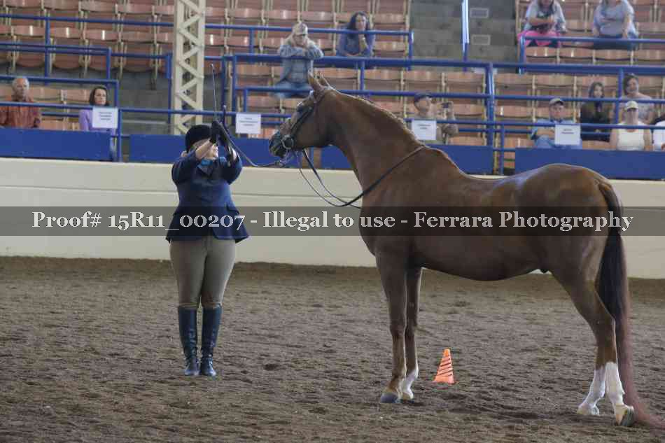 Proof 15R11_00207