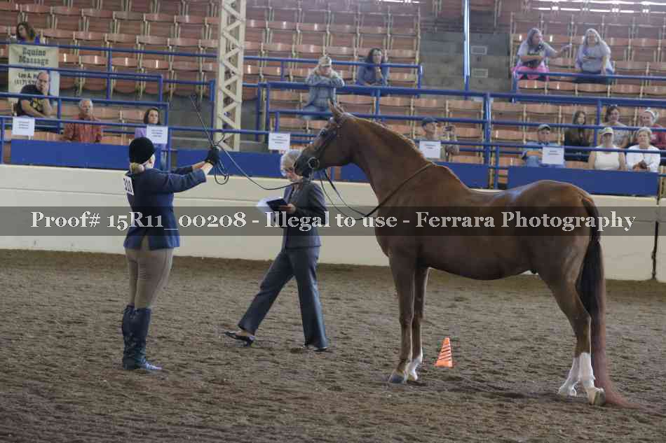 Proof 15R11_00208