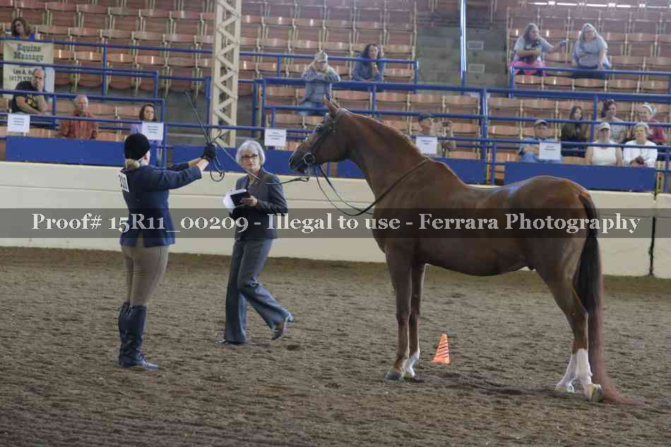 Proof 15R11_00209