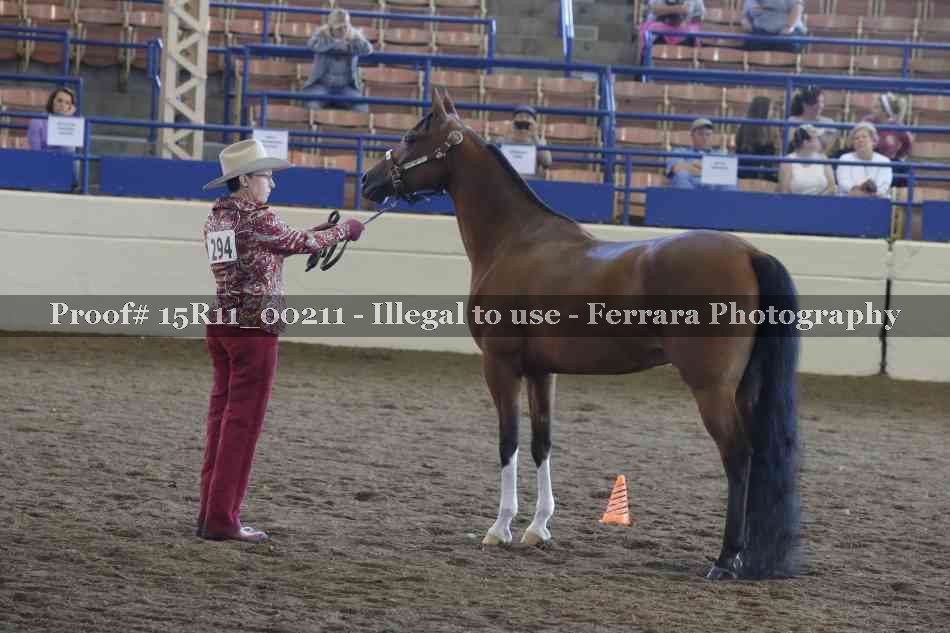 Proof 15R11_00211