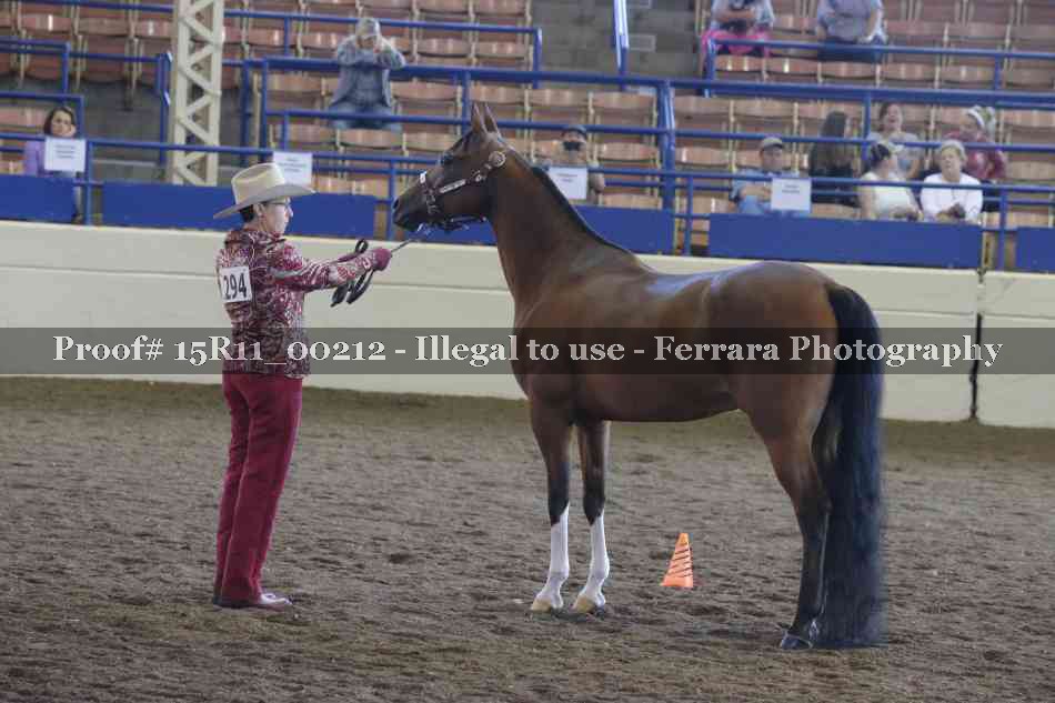Proof 15R11_00212