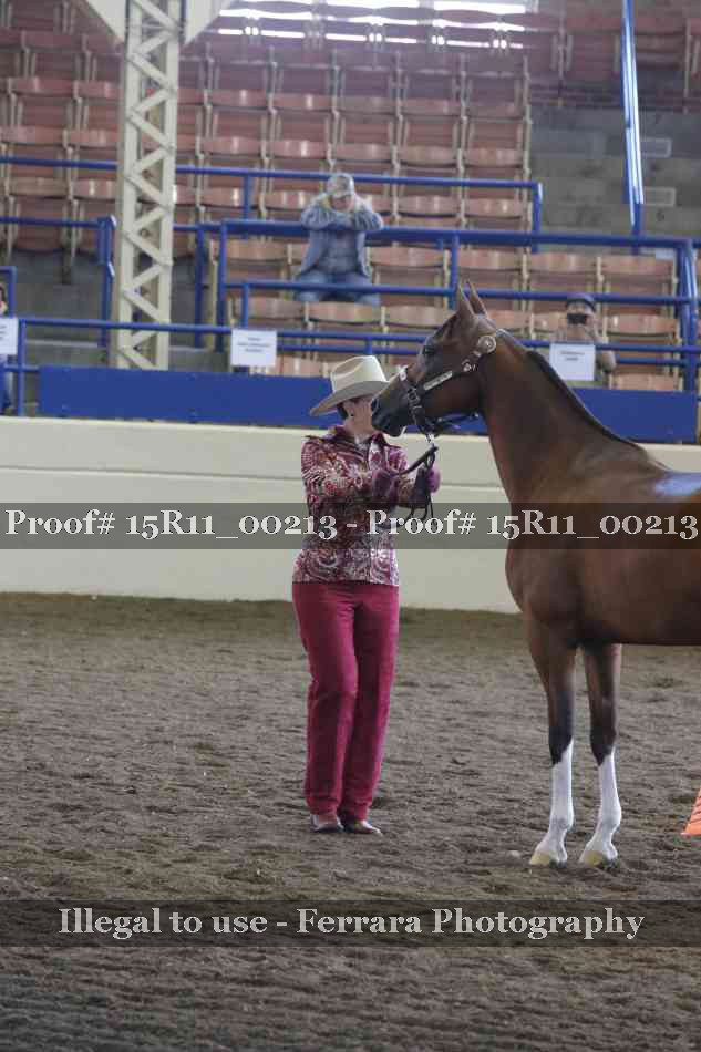 Proof 15R11_00213