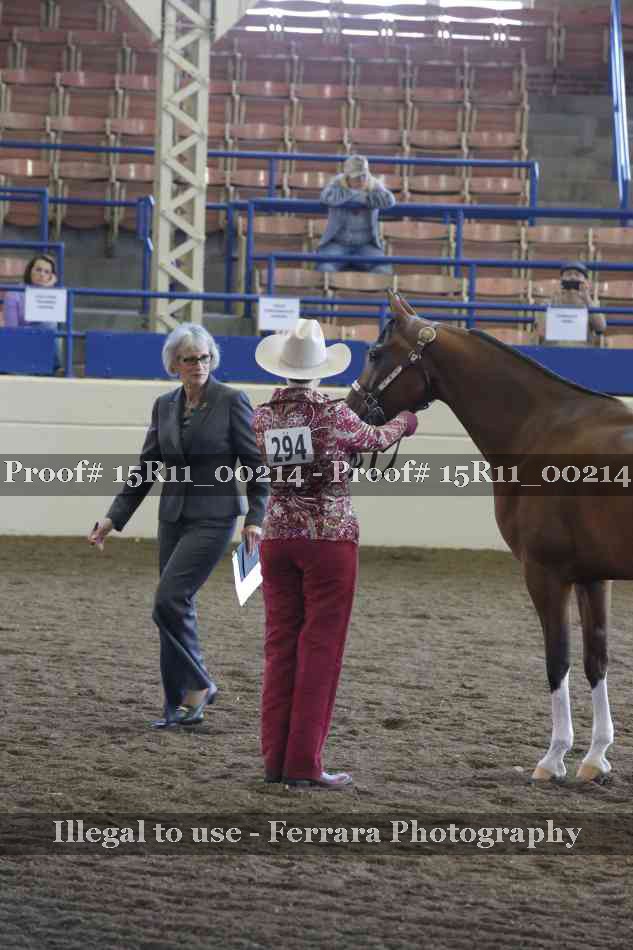 Proof 15R11_00214