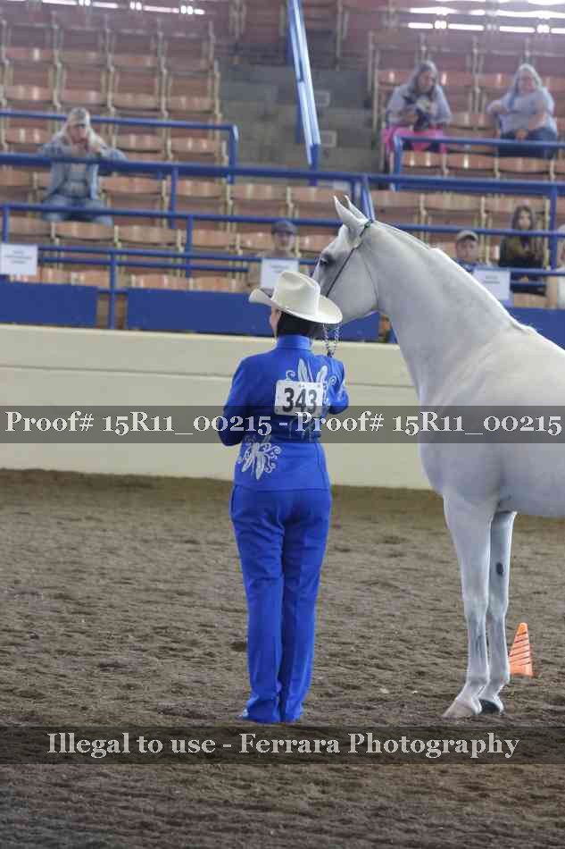 Proof 15R11_00215