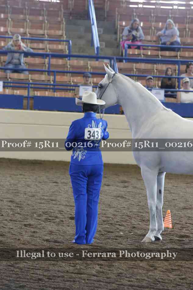Proof 15R11_00216