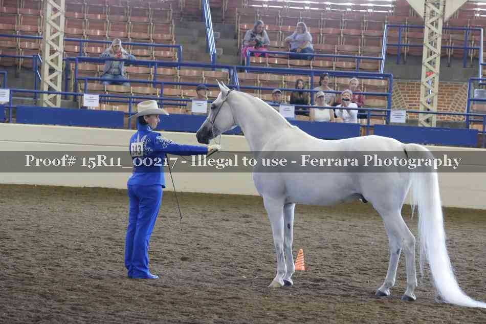 Proof 15R11_00217