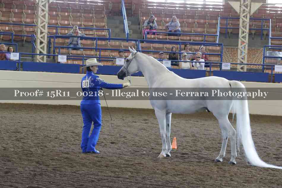 Proof 15R11_00218