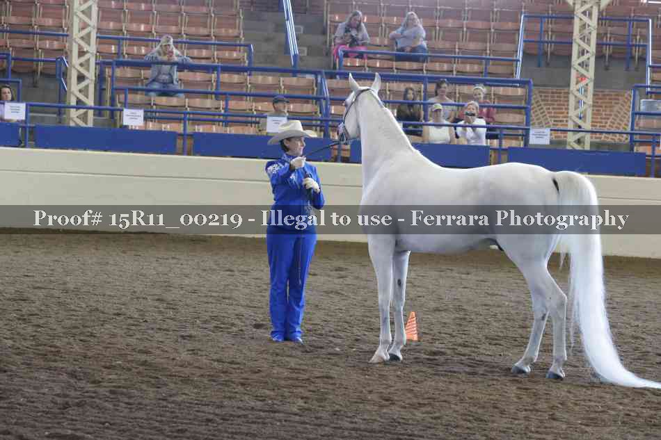 Proof 15R11_00219