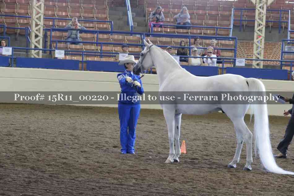 Proof 15R11_00220