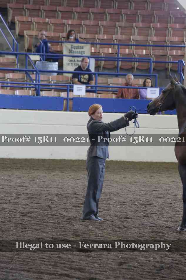 Proof 15R11_00221