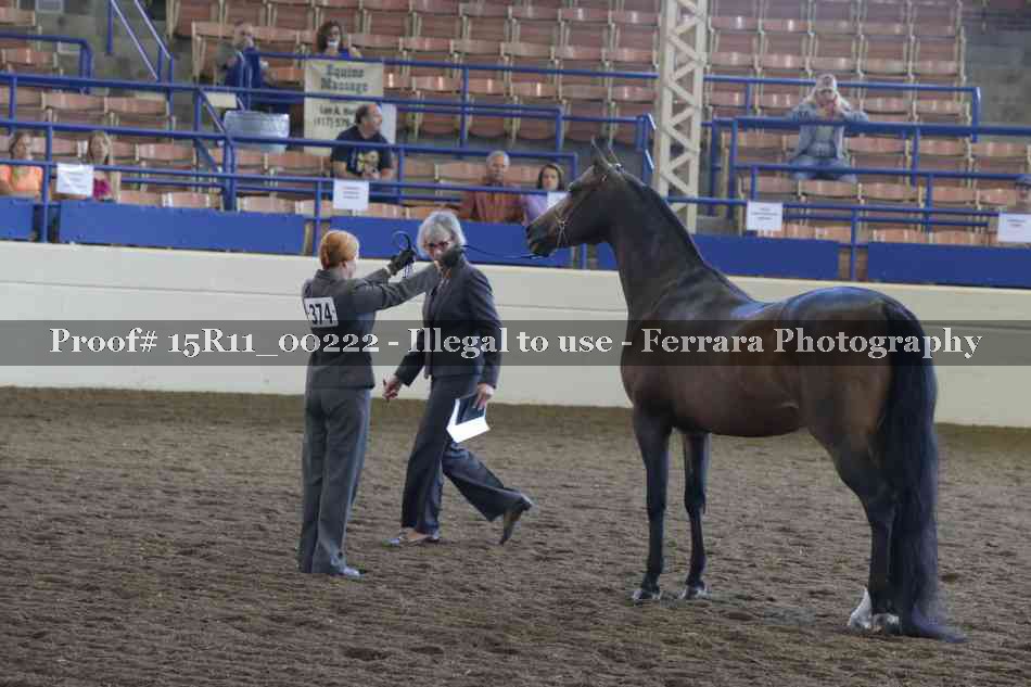 Proof 15R11_00222