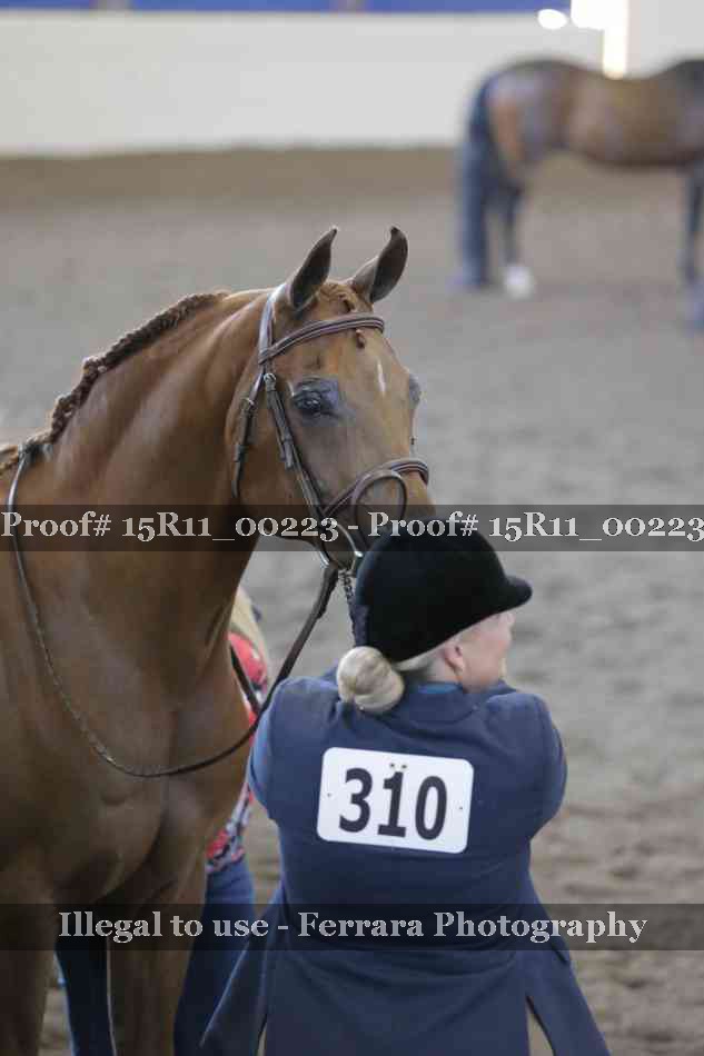 Proof 15R11_00223